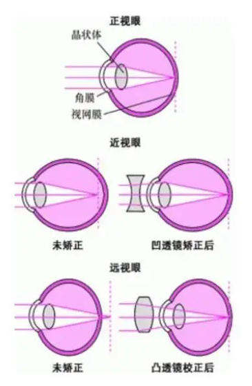微信截图_20230416131551.png